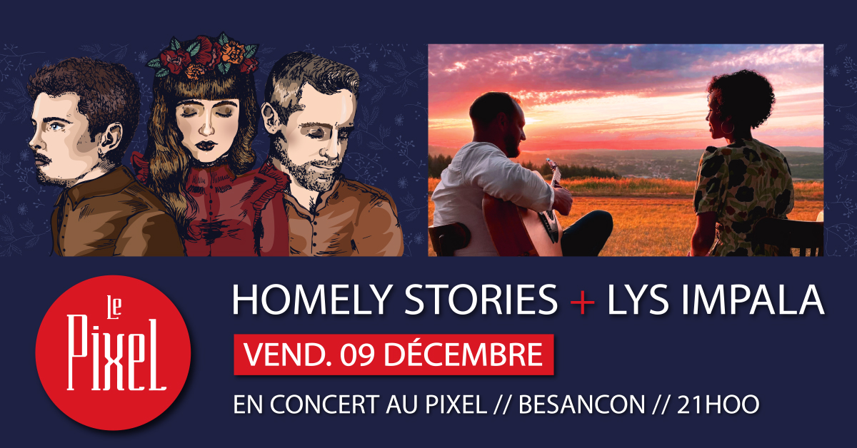 visu concert  homely stories et lys impala pixel FINAL